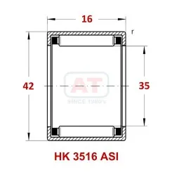 HK 3516 ASI Image