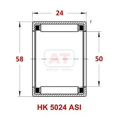 HK 5022 ASI Image