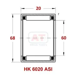 HK 6020 ASI Image